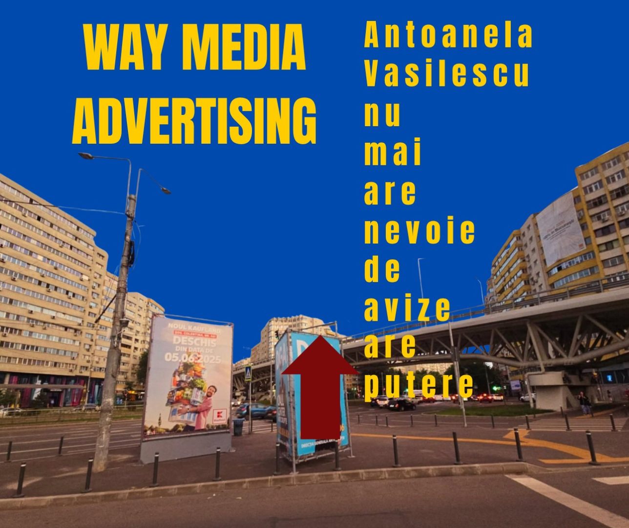 Way Advertise Production SRL: Antoanela Vasilescu, controversa publicitate fără avize și neplata taxelor la stat